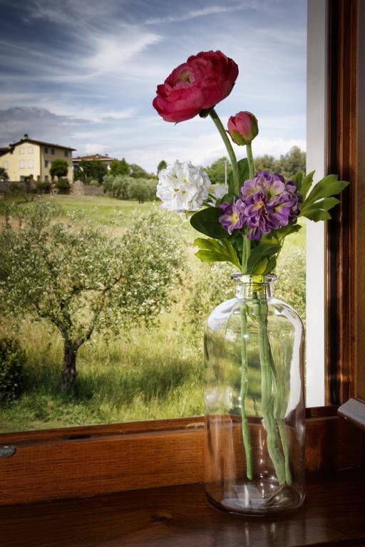 Agriturismo Ai Linchi ルッカ エクステリア 写真